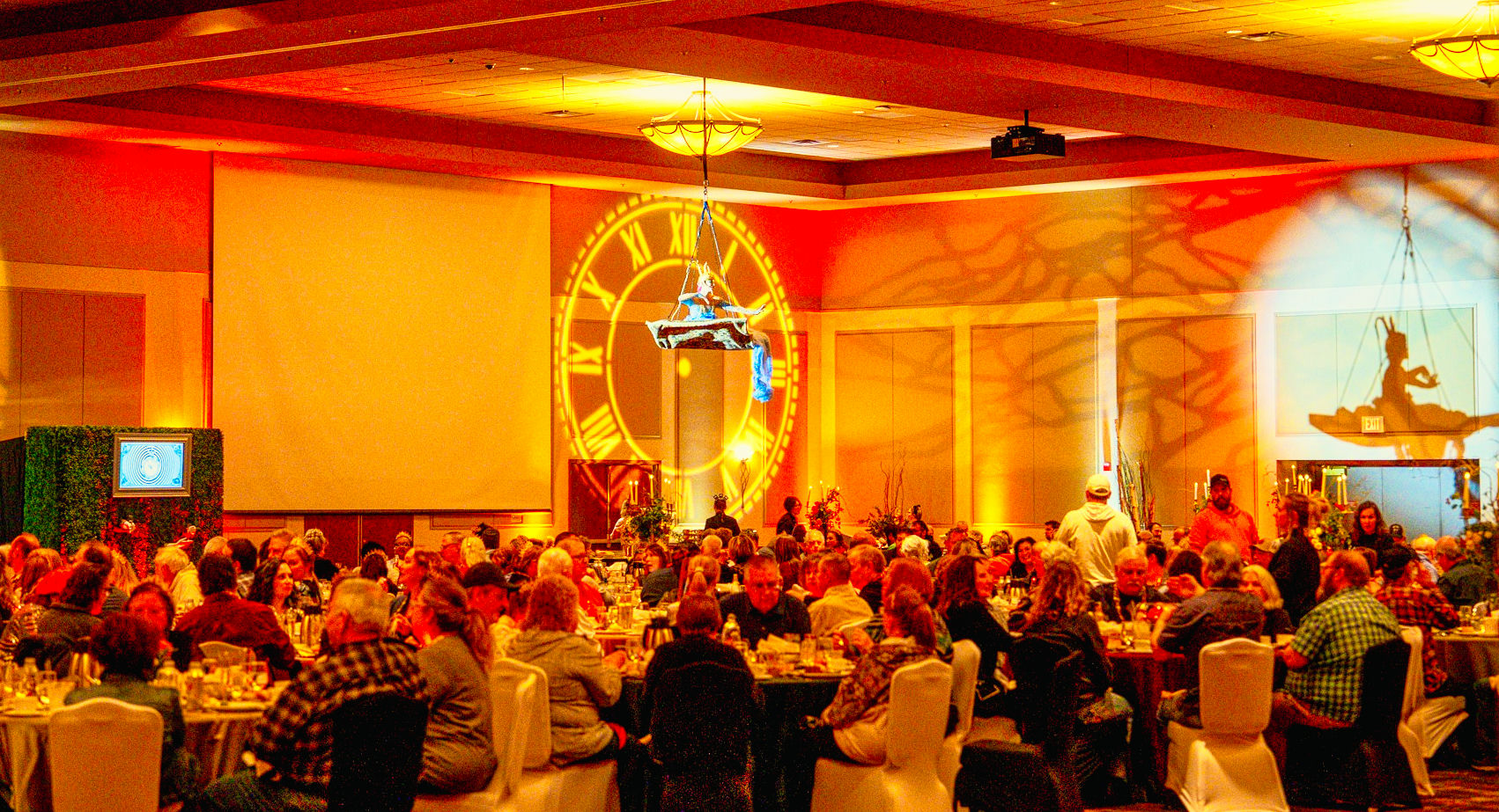 Wonderland decor installation